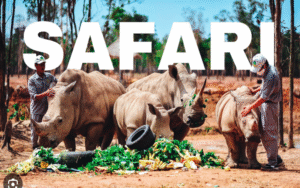 Chuyến đi ý nghĩa từ Thanh Hóa – Khu lưu niệm Bác Hồ – Safari – Cửa Lò