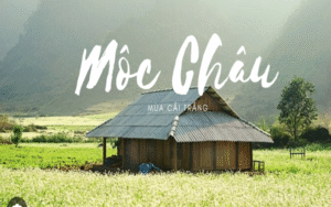 Khám phá Mộc Châu từ Hà Nội: Đèo Đá Trắng – Bản Áng – Happyland – thiên đường du lịch Tây Bắc