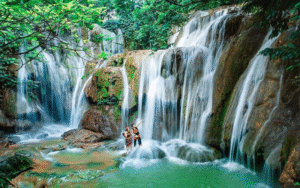 Khám Phá Mộc Châu Từ Thanh Hóa: Thiên Nhiên Xanh Mát, Sống Ảo Đồi Chè Trái Tim – Happy Land