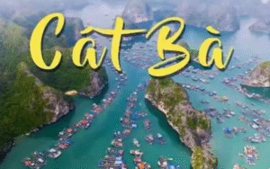 Tour Hà Nội - Cát Bà 2N1Đ Teambuilding & Gala Dinner trọn gói giá rẻ
