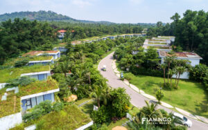 Flamingo Đại Lải
