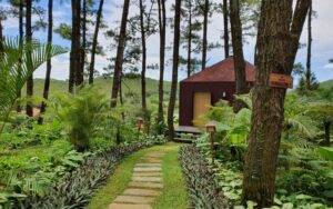 Green Pine - Tràng An Golf and Resort