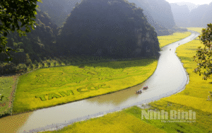 Tour ghép Thanh Hóa - Ninh Bình – Tam Cốc 1 ngày hấp dẫn