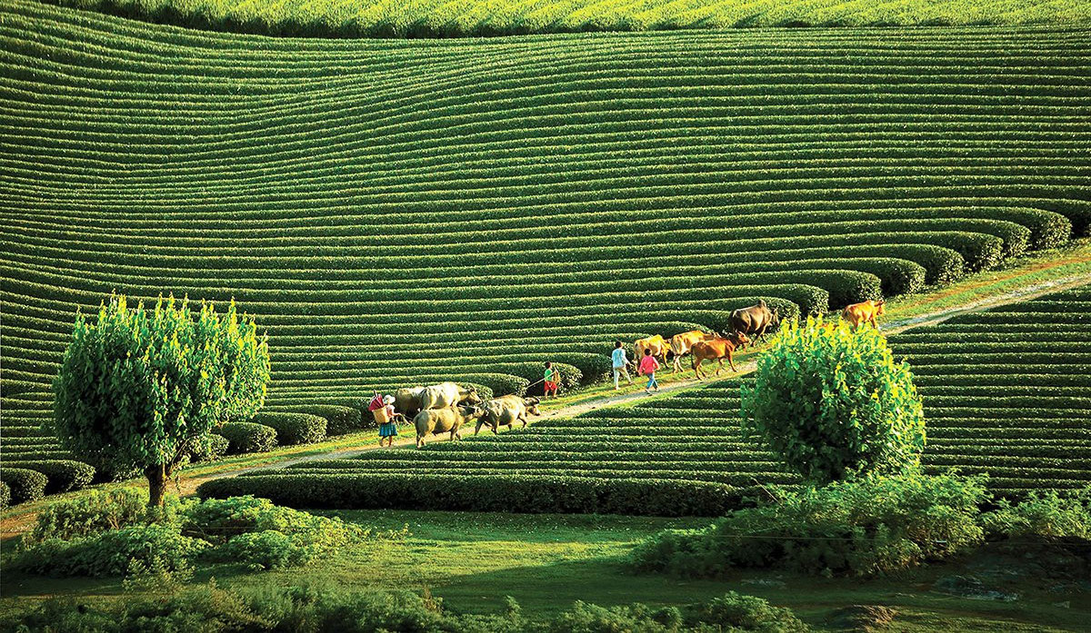 gia-tour-doan-thanh-hoa-di-son-la-moi-nhat-uu-dai-ch