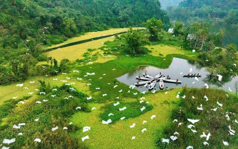 thung-nham-ninh-binh