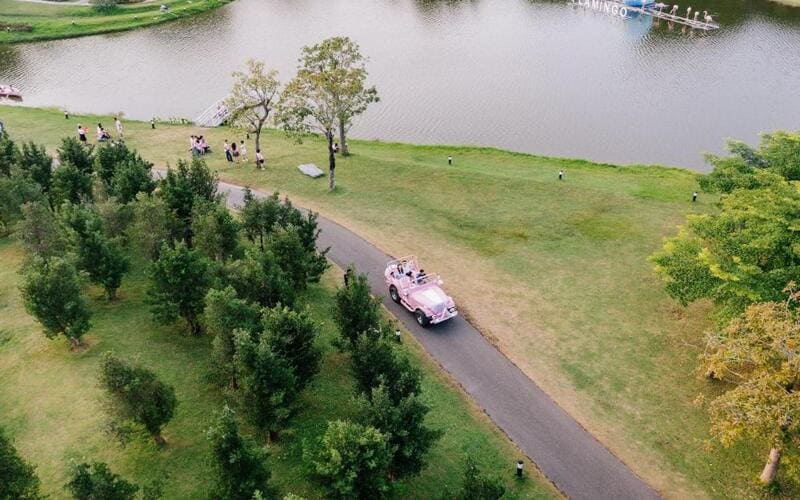 combo-flamingo-dai-lai-2n1d-rung-thong