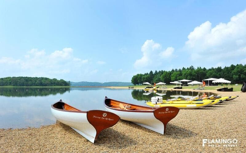 flamingo-dai-lai-co-gi-choi-ho