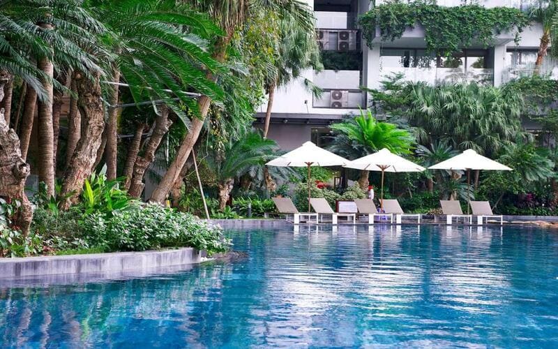 flamingo-dai-lai-co-gi-choi-pool