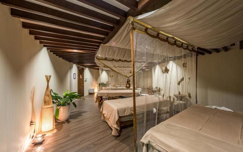 flamingo-dai-lai-co-gi-choi-seva