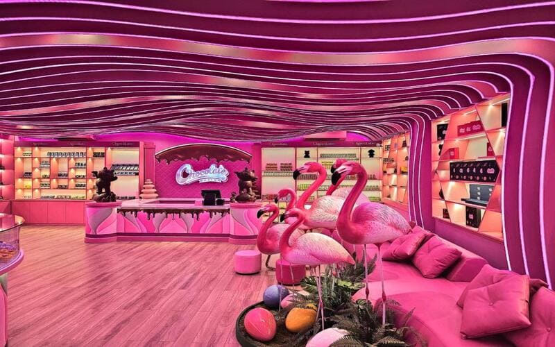 flamingo-dai-lai-co-gi-choi-socola