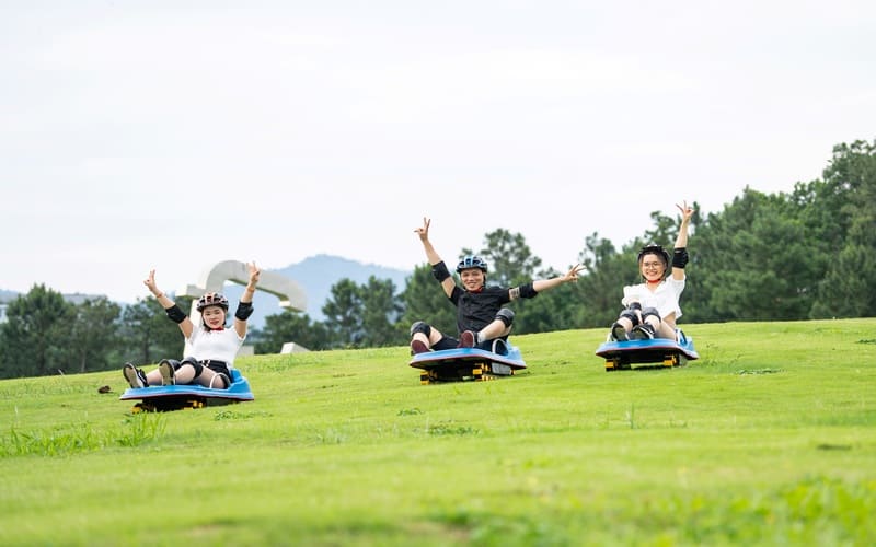 flamingo-dai-lai-co-phu-hop-gia-dinh-khong-grass