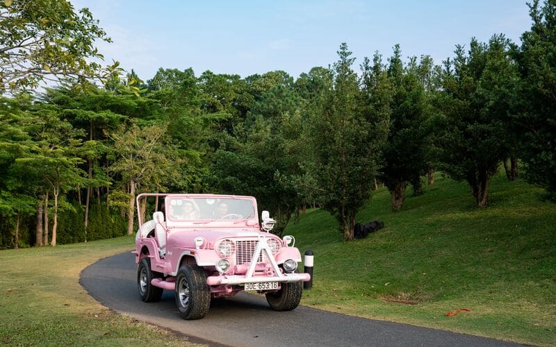 review-flamingo-dai-lai-chi-tiet-rung-thong