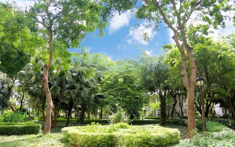 review-flc-phu-tho-retreat