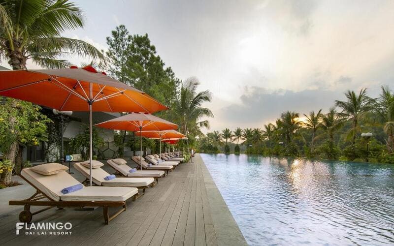 top-resort-flamingo-gan-ha-noi-pool-dailai