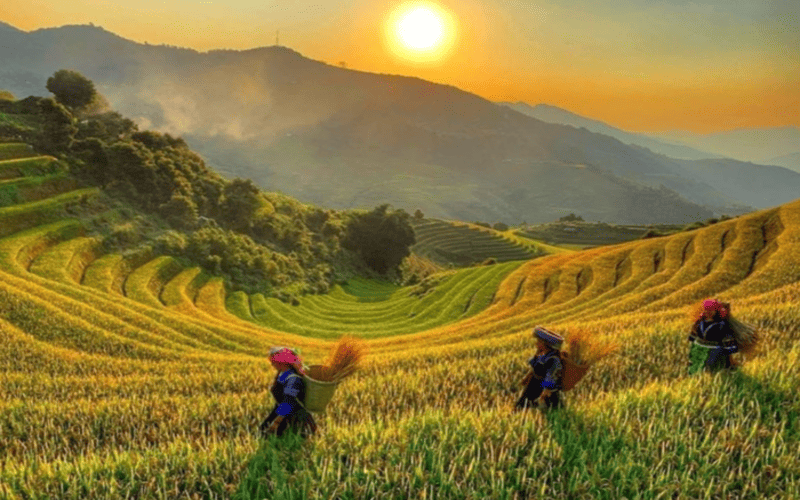 tour-pu-luong-tu-ha-noi-3n2d-luachin