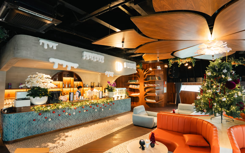 du-thuyen-dolphin-ha-long-trai-nghiem-5-sao-lounge