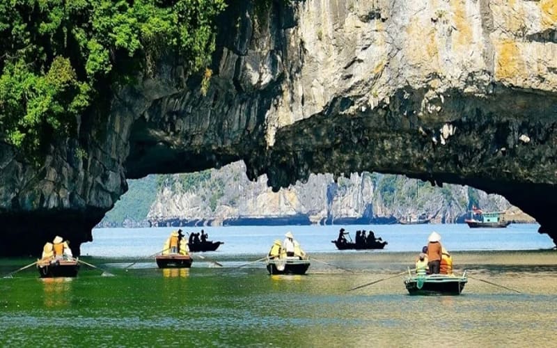 du-thuyen-dolphin-ha-long-trai-nghiem-5-sao-luon