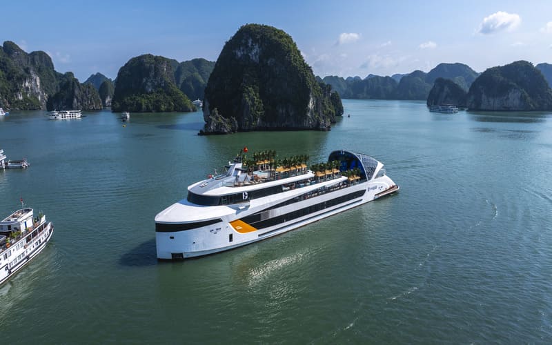 du-thuyen-dolphin-ha-long-trai-nghiem-5-sao-over