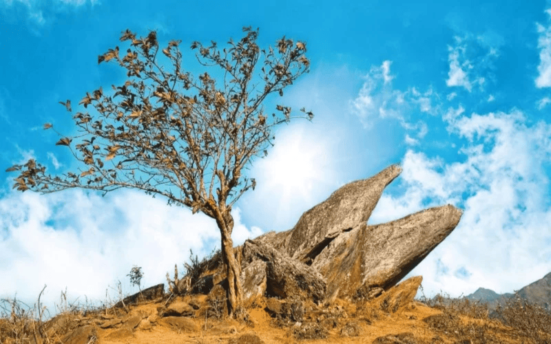 thanh-hoa-san-may-ta-xua-thao-nguyen-ta-xua-2n1d-1