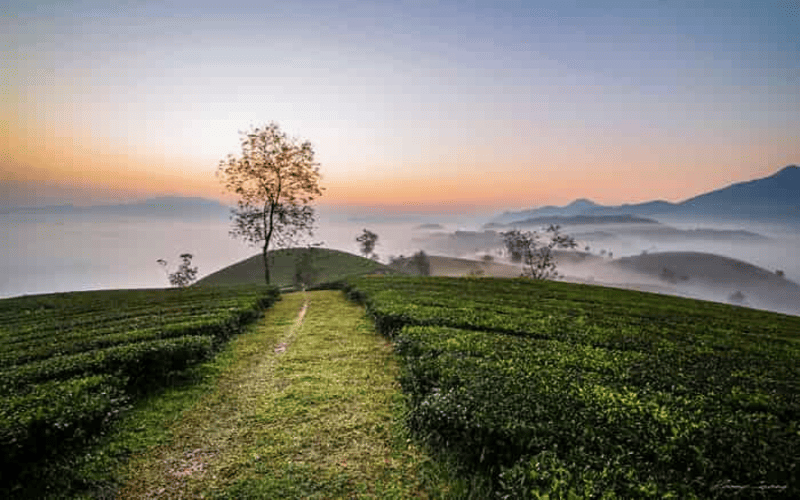 thanh-hoa-san-may-ta-xua-thao-nguyen-ta-xua-2n1d