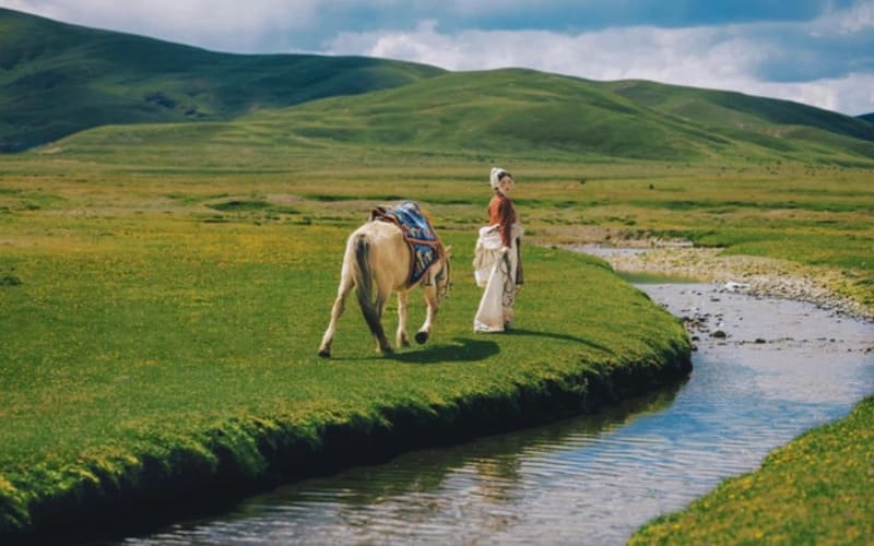 tour-shangrila-kham-pha-vung-dat-huyen-thoai-tay-tang-napa