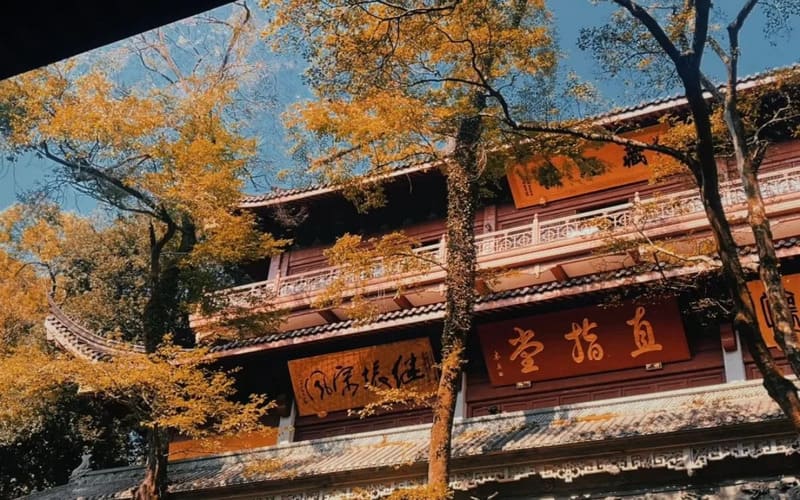 tour-thuong-hai-hang-chau-to-chau-5n4d-gia-tot-linhan