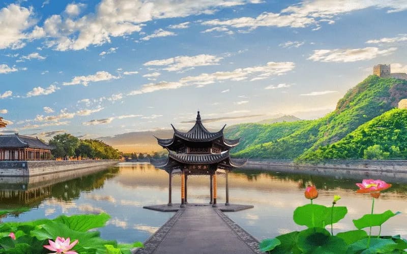 tour-thuong-hai-hang-chau-to-chau-gia-tot-tayho