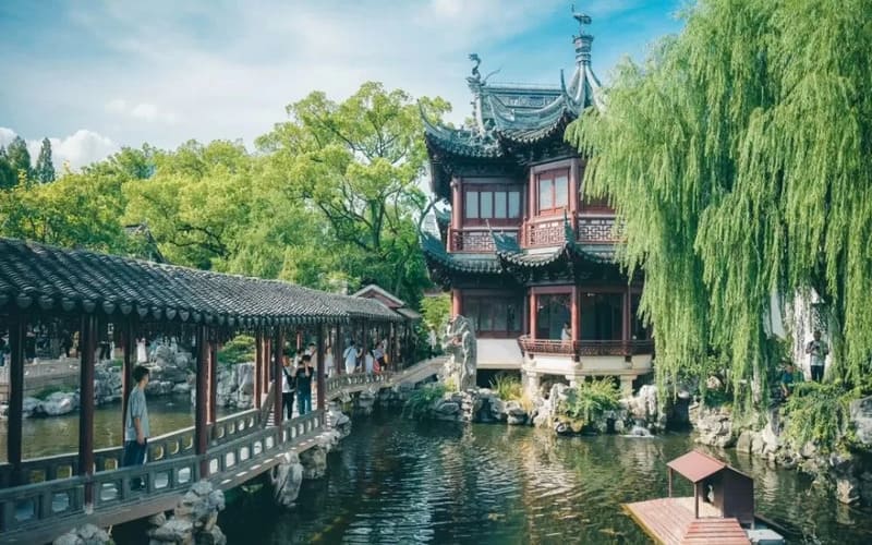 tour-thuong-hai-tron-goi-lich-trinh-hap-dan-gia-tot-duvien.webp