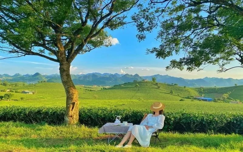 di-du-lich-30-4-nen-dat-truoc-bao-lau-la-tot-nhat-mc