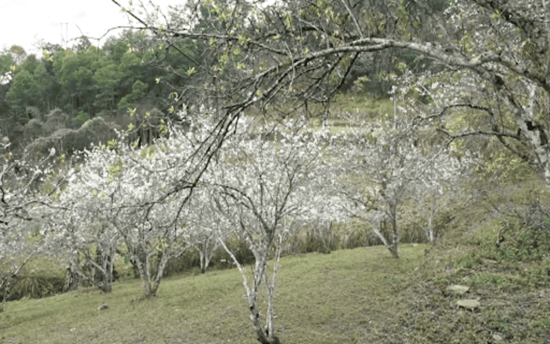 du-lich-ha-giang-30-4-1-5-kinh-nghiem-chi-tiet-a-z-2