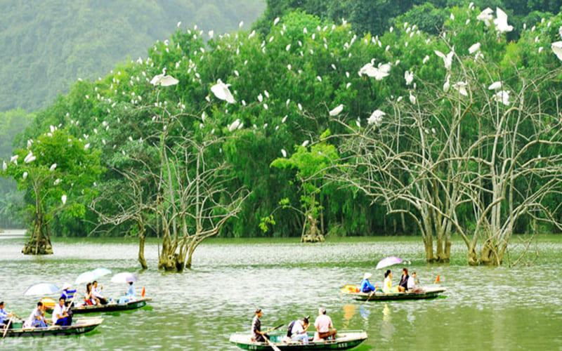 gia-ve-tham-quan-ninh-binh-dip-30-4-moi-nhat-thungnham