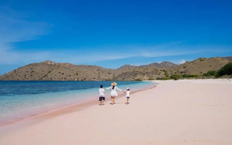 kinh-nghiem-du-lich-sam-son-tu-tuc-tu-a-z-tambien