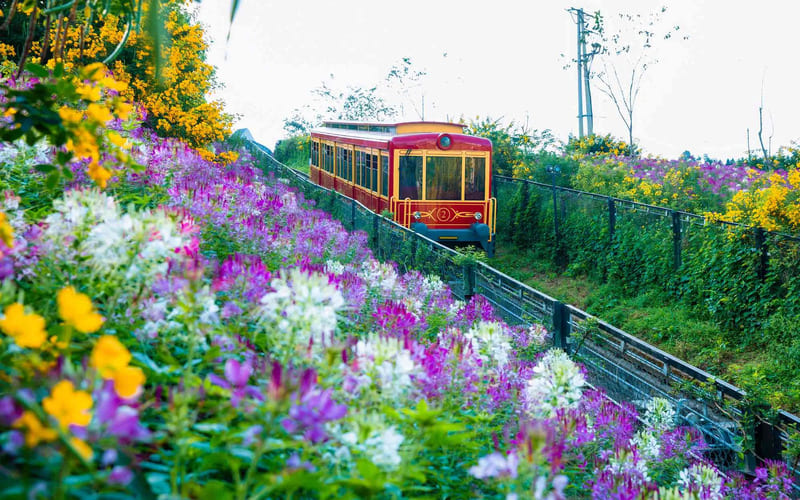 nhung-dia-diem-check-in-sapa-dip-30-4-muonghoa