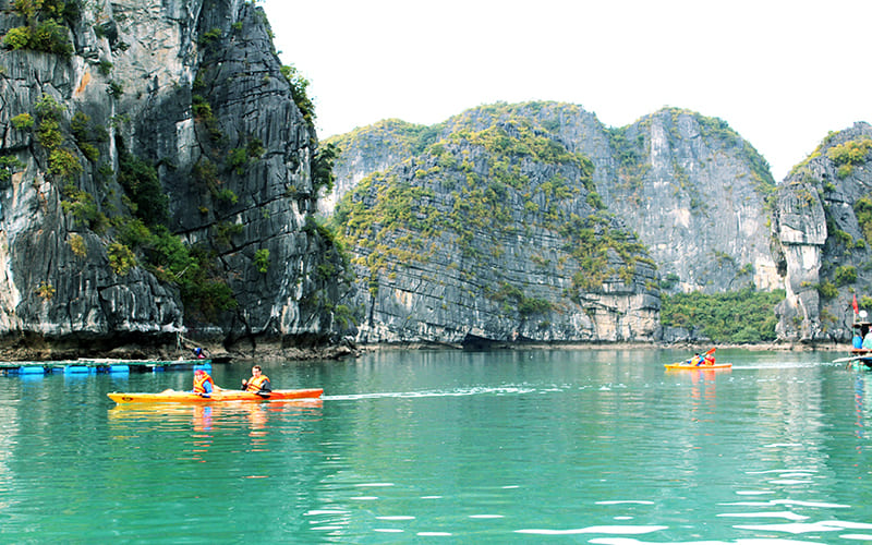 tour-thanh-hoa-di-du-thuyen-ha-long-tron-goi-gia-tot-kayak