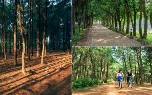 tour-thiet-ke-thanh-hoa-bac-kan-thai-nguyen-3n2d-4