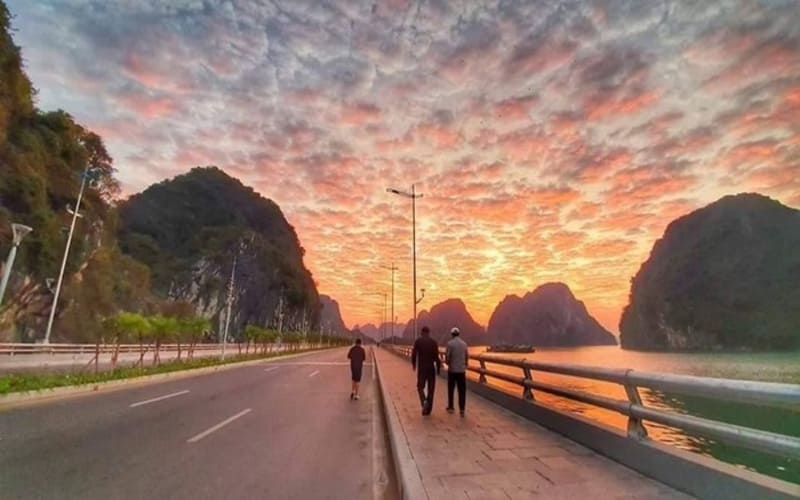 xe-limousine-thanh-hoa-di-ha-long-gia-tot-4