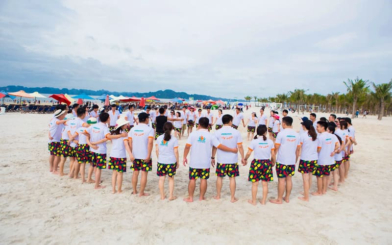 cong-ty-du-lich-to-chuc-hoi-nghi-ha-long-tai-thanh-hoa
