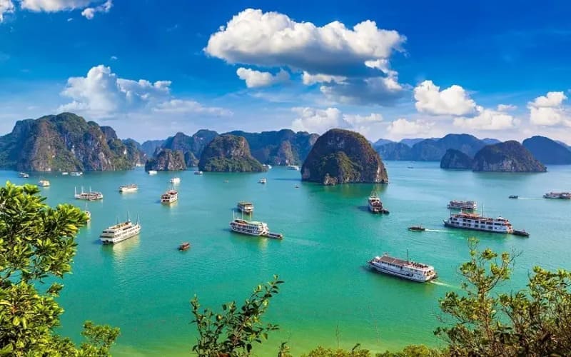 di-cat-ba-hay-ha-long-so-sanh-chi-tiet-hl