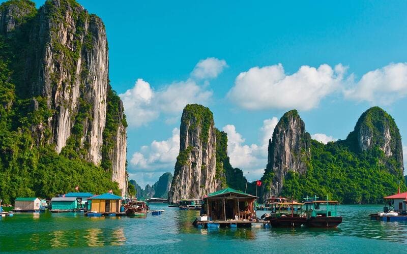 di-cat-ba-hay-ha-long-so-sanh-chi-tiet-hl1