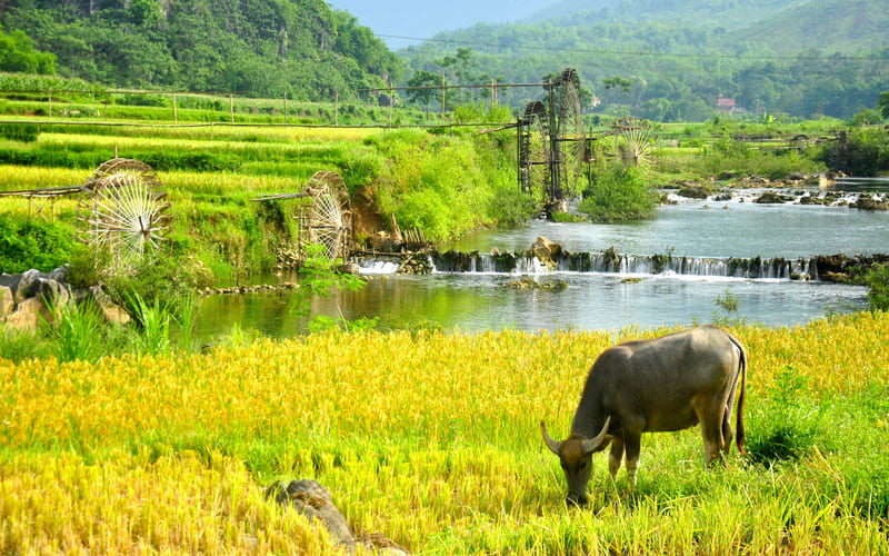 di-pu-luong-mua-nao-dep-nhat-bocbandi-00