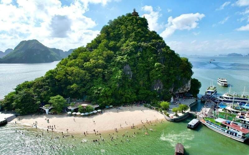 gia-paradise-cruise-tu-thanh-hoa-uu-dai-moi-nhat-5
