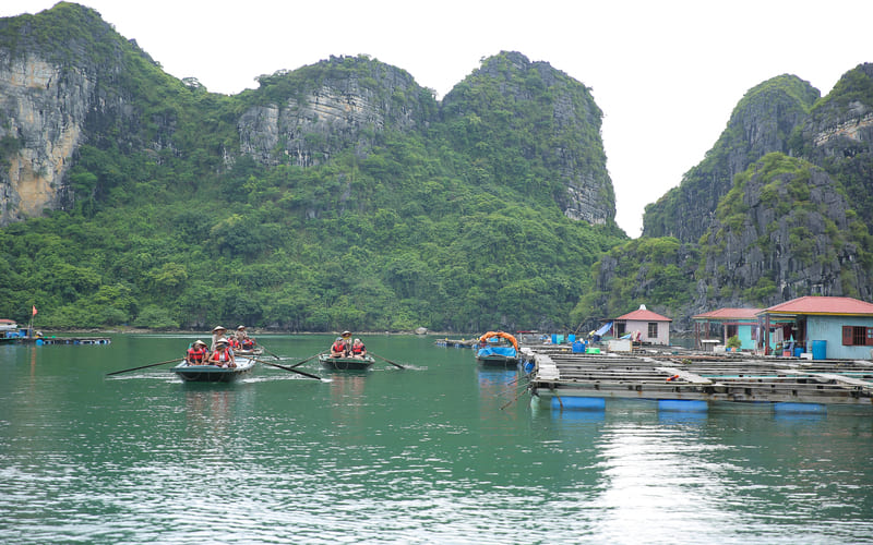 hoi-nghi-tren-du-thuyen-paradise-cao-cap-9