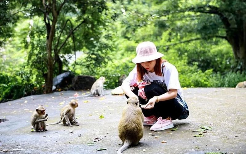 kinh-nghiem-du-lich-cat-ba-tu-tuc-chi-tiet-nhat-daokhi