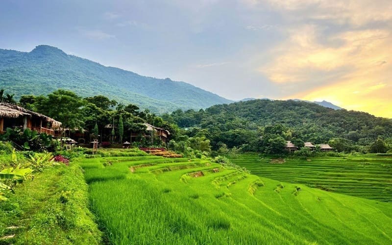 kinh-nghiem-du-lich-pu-luong-cho-nguoi-moi-bandon