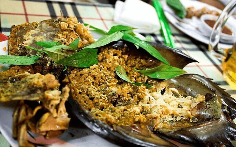 lich-trinh-di-ha-long-tu-thanh-hoa-chi-tiet-de-di-sam (1)