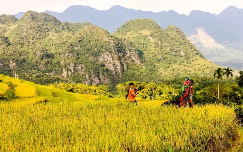 nhung-trai-nghiem-khong-the-bo-lo-o-pu-luong-luachin
