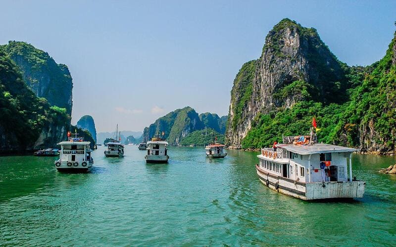 review-tour-thanh-hoa-di-ha-long-thuc-te-chi-tiet