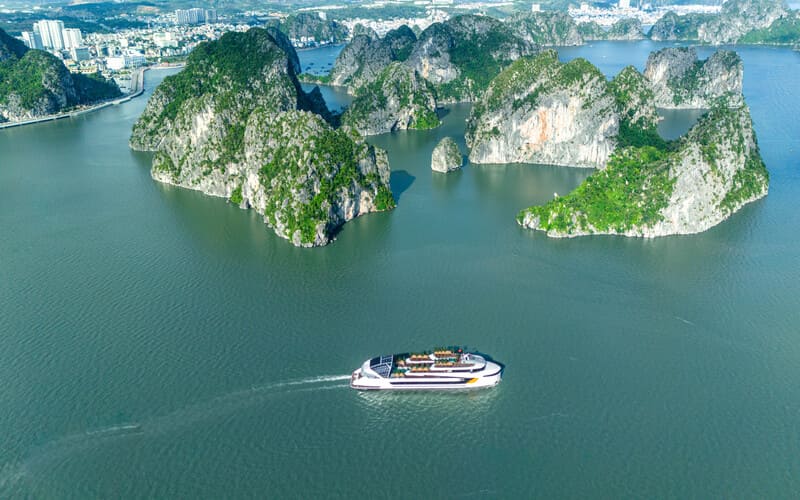 to-chuc-gala-dinner-tren-du-thuyen-dolphin-cruise-4