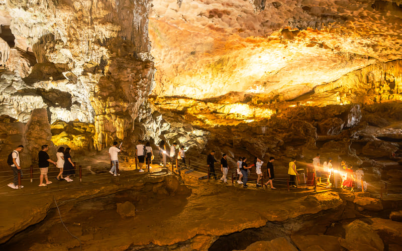 tour-thanh-hoa-di-du-thuyen-dolphin-cruise-ha-long-00