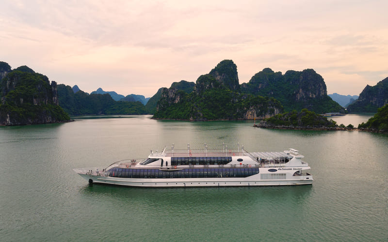 tour-thanh-hoa-di-du-thuyen-paradise-ha-long